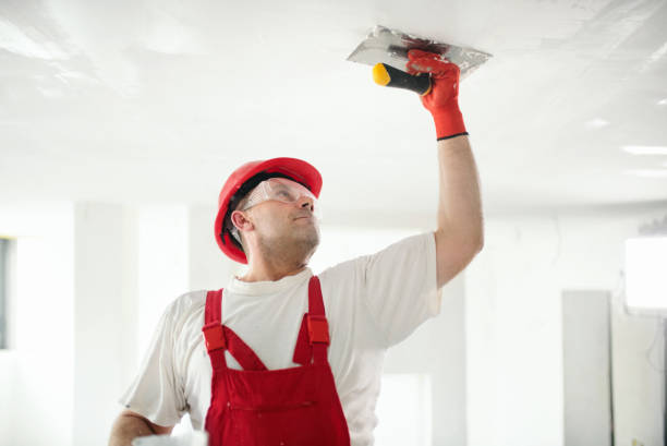 Best Repainting for Renovations  in Bertsch Oceanview, CA